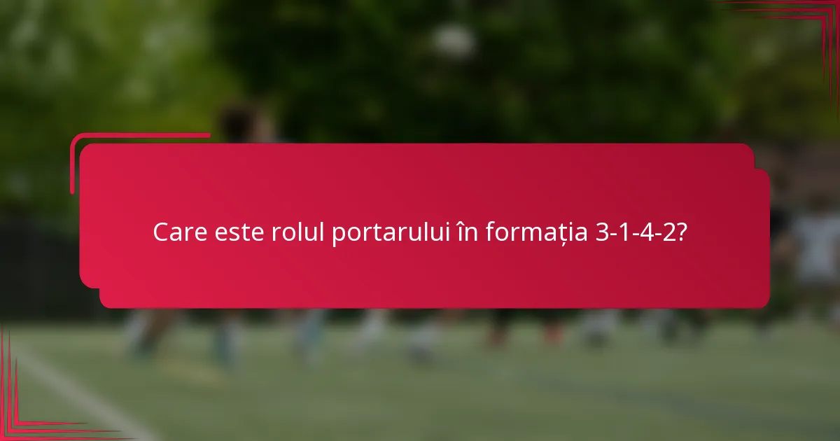 Care este rolul portarului în formația 3-1-4-2?