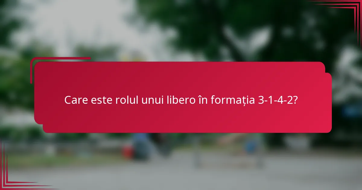 Care este rolul unui libero în formația 3-1-4-2?