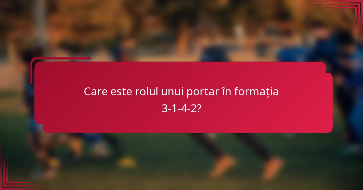 Care este rolul unui portar în formația 3-1-4-2?