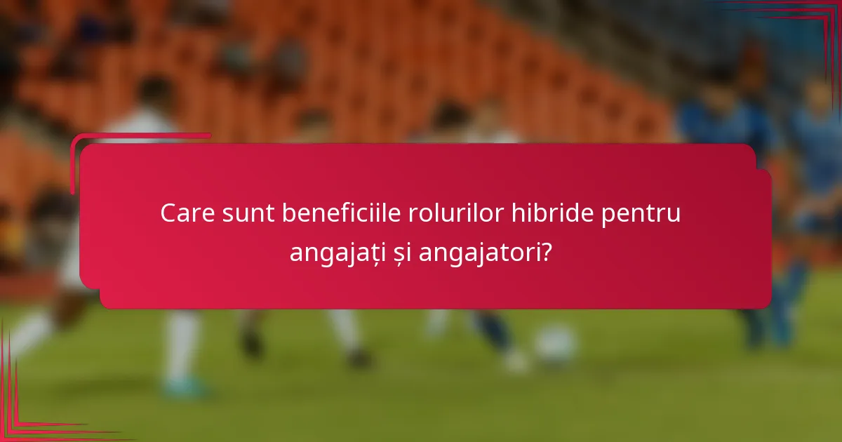 Care sunt beneficiile rolurilor hibride pentru angajați și angajatori?