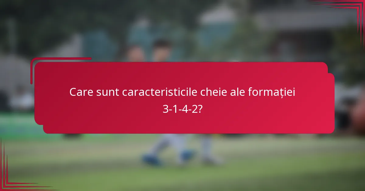 Care sunt caracteristicile cheie ale formației 3-1-4-2?