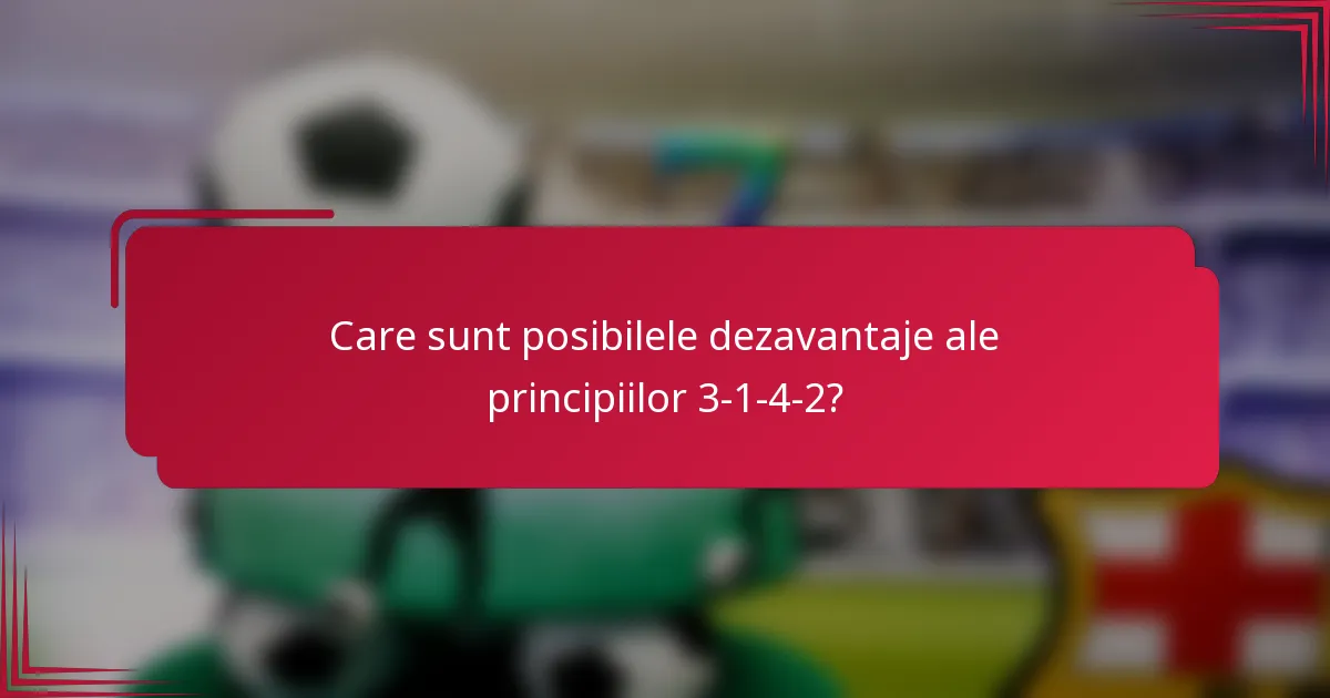 Care sunt posibilele dezavantaje ale principiilor 3-1-4-2?