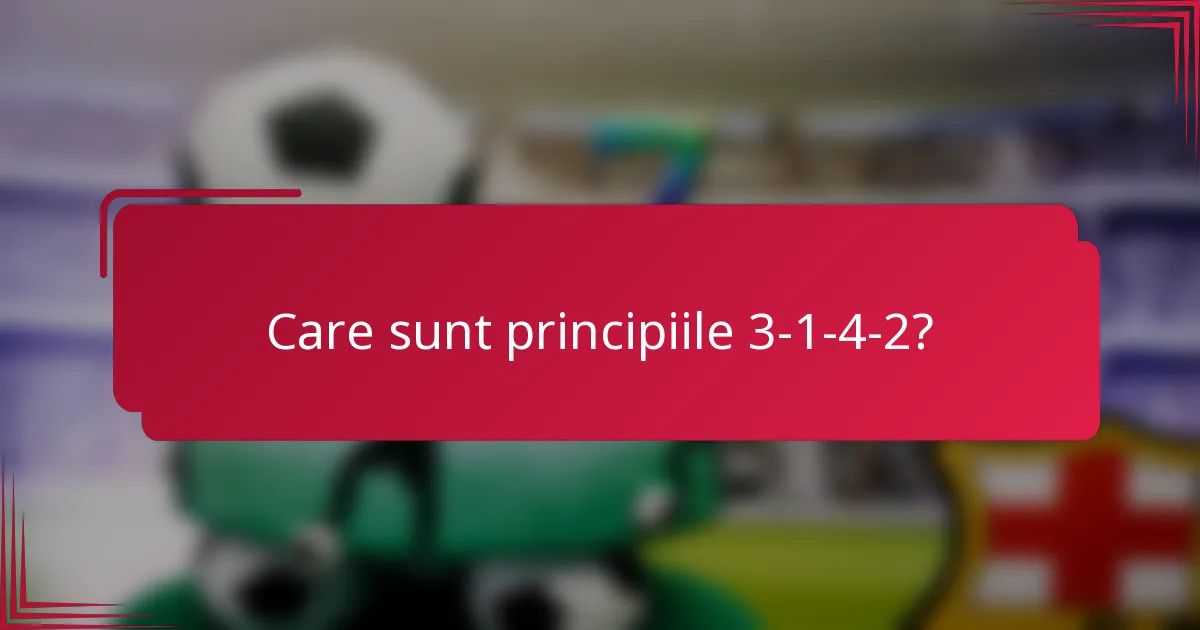 Care sunt principiile 3-1-4-2?