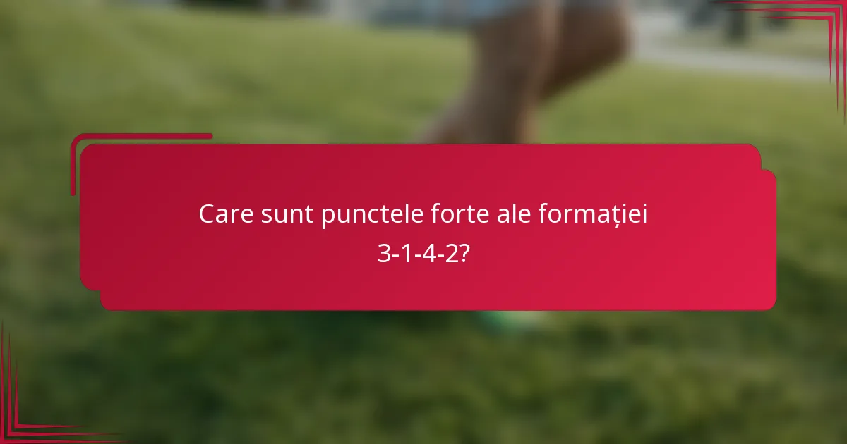 Care sunt punctele forte ale formației 3-1-4-2?