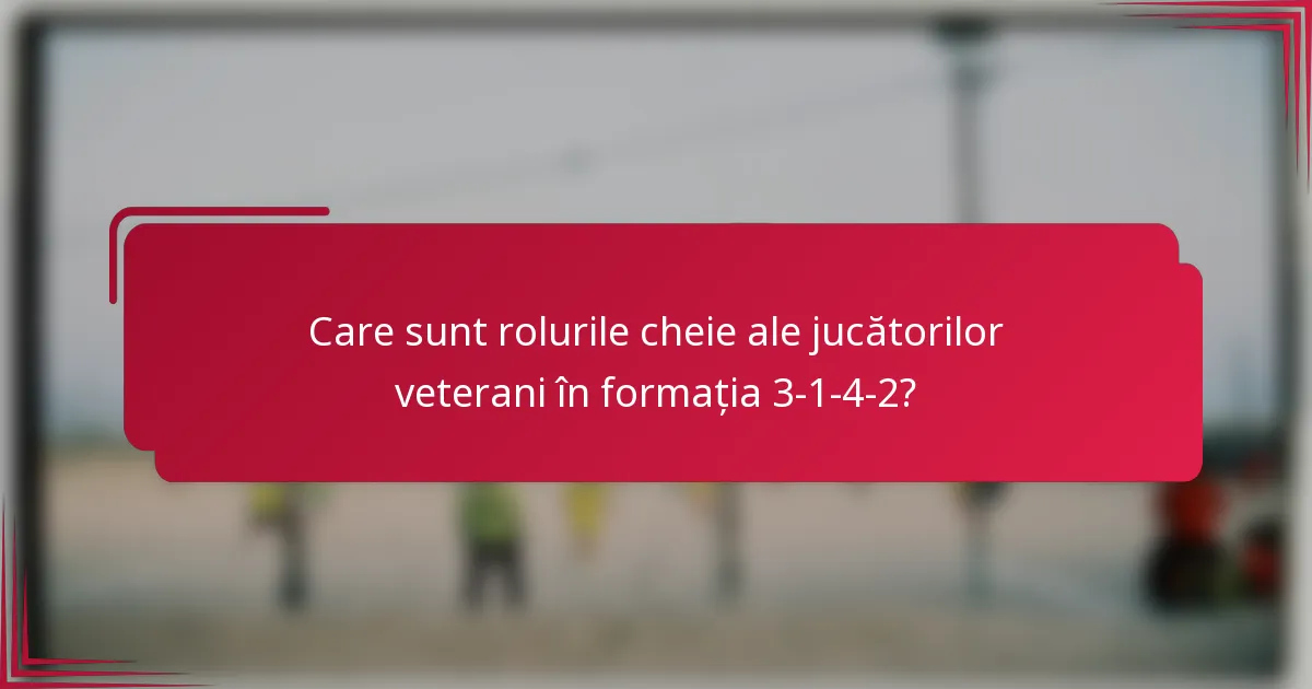 Care sunt rolurile cheie ale jucătorilor veterani în formația 3-1-4-2?