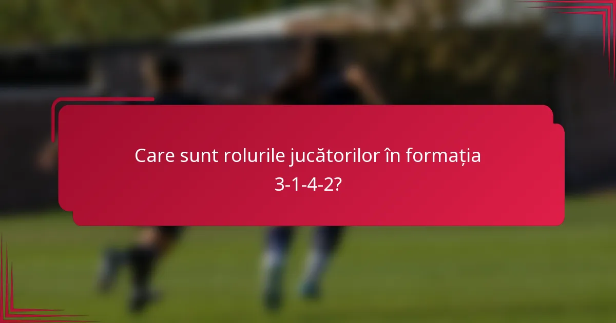 Care sunt rolurile jucătorilor în formația 3-1-4-2?
