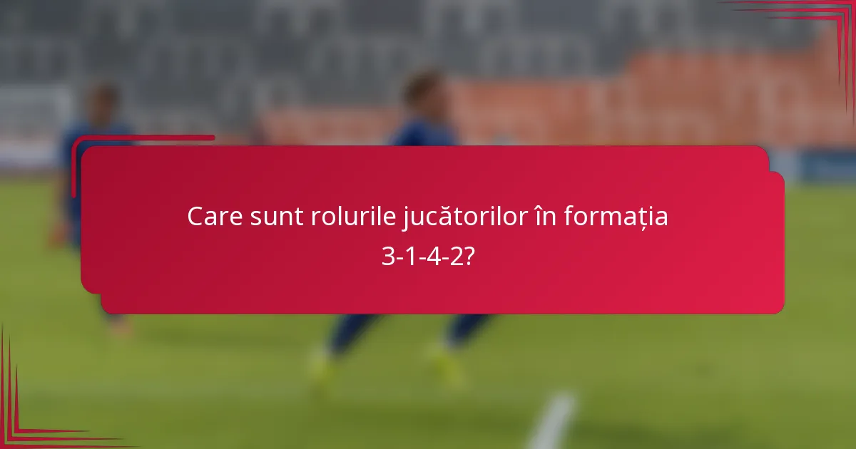 Care sunt rolurile jucătorilor în formația 3-1-4-2?