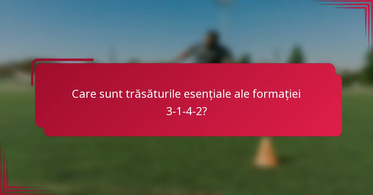 Care sunt trăsăturile esențiale ale formației 3-1-4-2?
