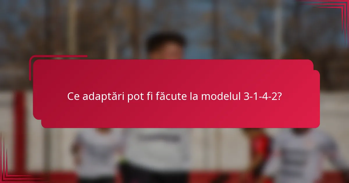 Ce adaptări pot fi făcute la modelul 3-1-4-2?