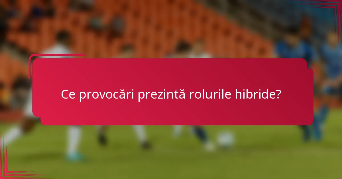 Ce provocări prezintă rolurile hibride?