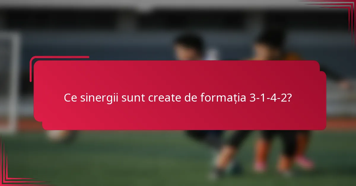 Ce sinergii sunt create de formația 3-1-4-2?