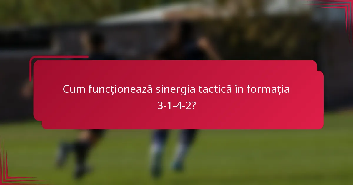 Cum funcționează sinergia tactică în formația 3-1-4-2?