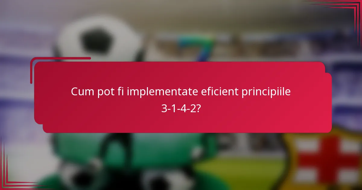 Cum pot fi implementate eficient principiile 3-1-4-2?