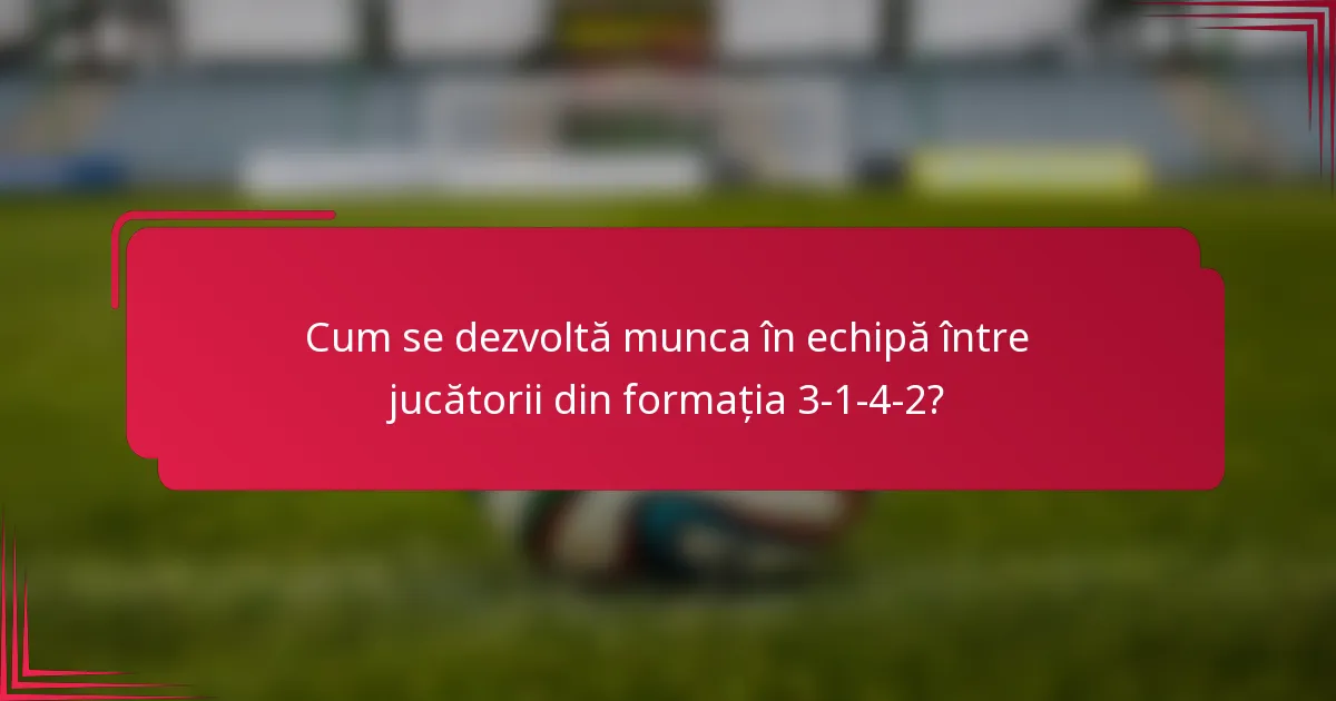 Cum se dezvoltă munca în echipă între jucătorii din formația 3-1-4-2?