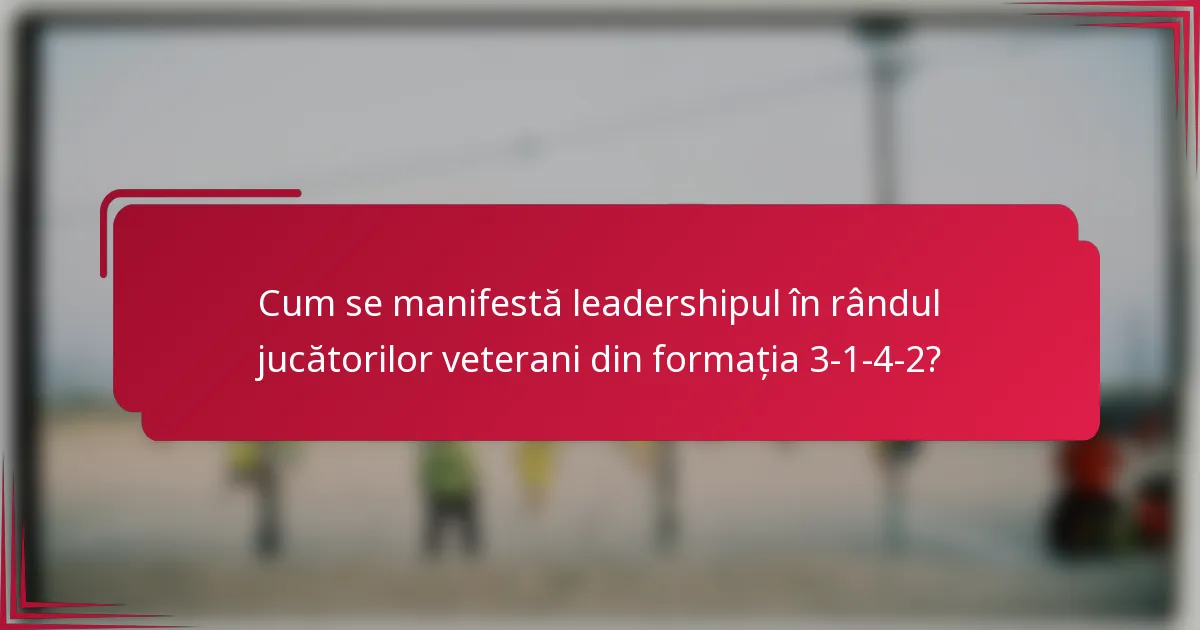 Cum se manifestă leadershipul în rândul jucătorilor veterani din formația 3-1-4-2?