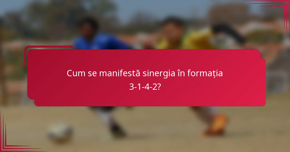 Cum se manifestă sinergia în formația 3-1-4-2?