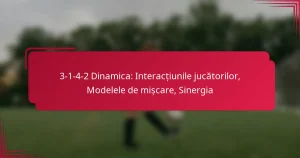 Read more about the article 3-1-4-2 Dinamica: Interacțiunile jucătorilor, Modelele de mișcare, Sinergia