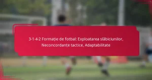 Read more about the article 3-1-4-2 Formație de fotbal: Exploatarea slăbiciunilor, Neconcordanțe tactice, Adaptabilitate