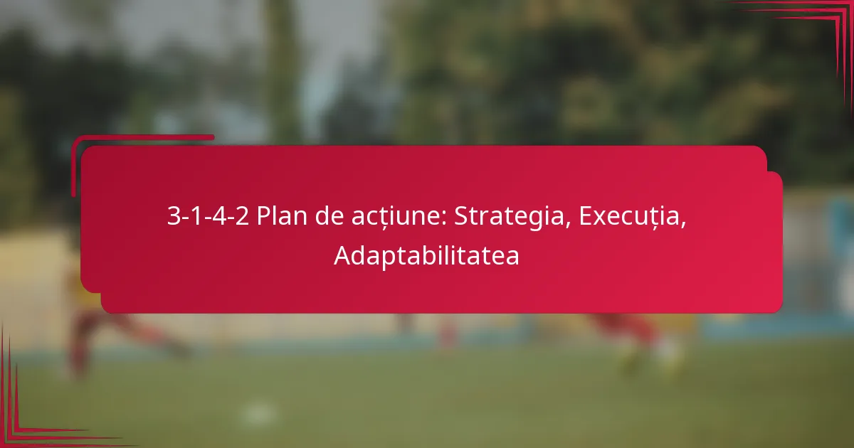 3-1-4-2 Plan de acțiune: Strategia, Execuția, Adaptabilitatea