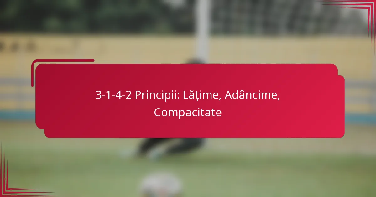 Read more about the article 3-1-4-2 Principii: Lățime, Adâncime, Compacitate