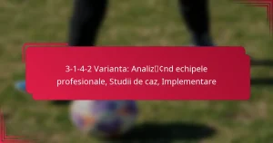 Read more about the article 3-1-4-2 Varianta: Analizând echipele profesionale, Studii de caz, Implementare