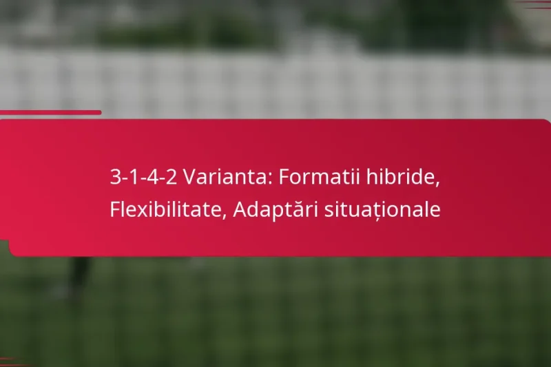 3-1-4-2 Varianta: Formatii hibride, Flexibilitate, Adaptări situaționale